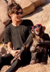 Louis Tomlinson (22, "One Direction")