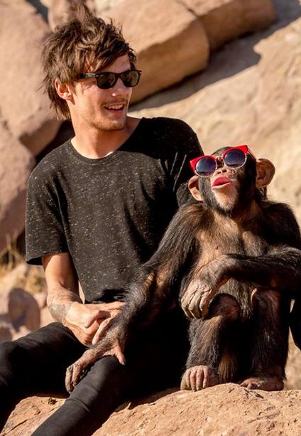 Louis Tomlinson (22, "One Direction")