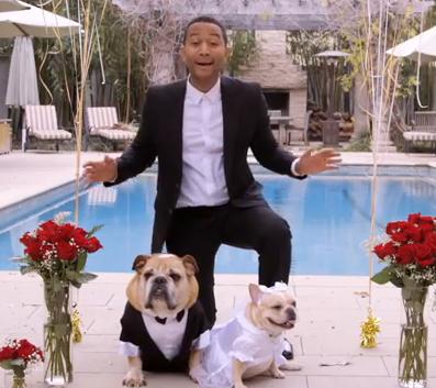 John Legend su Puddy ir Pippa