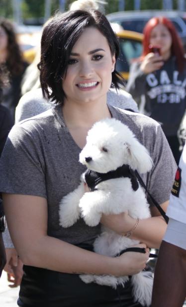 Demi Lovato su Buddy