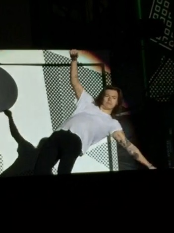 Harry Styles ("One Direction")