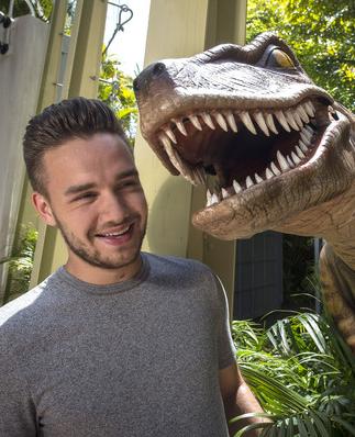 Liam Payne ("One Direction")