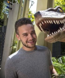 Liam Payne ("One Direction")