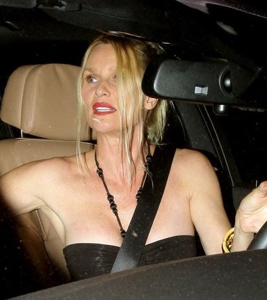 Nicollette Sheridan