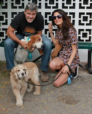 George & Amal Clooney su Millie