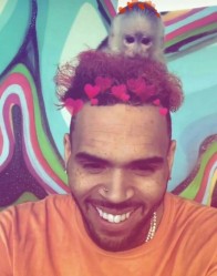 Chris Brown