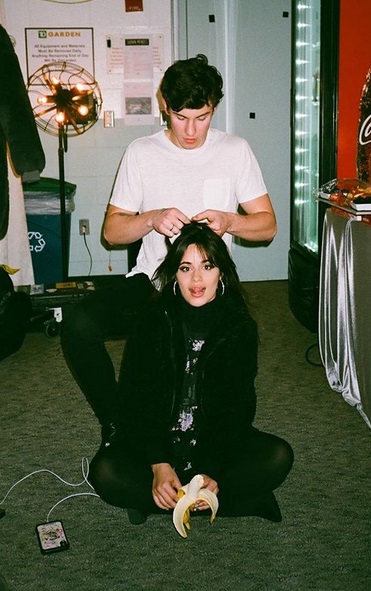 Shawn Mendes & Camila Cabello