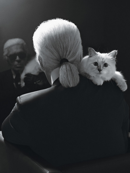 Karl Lagerfeld su Choupette