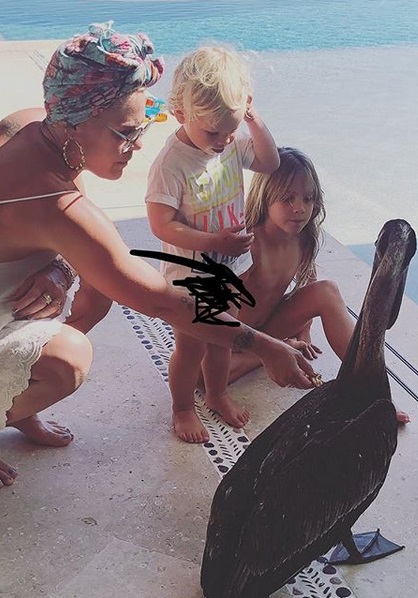 Pink, Jameson Moon & Willow Sage