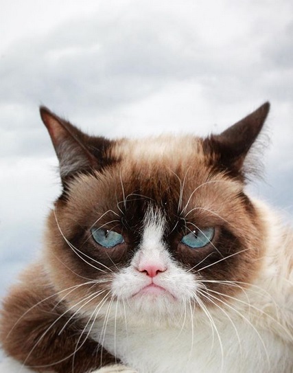 Grumpy