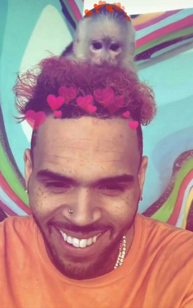 Chris Brown su Fiji