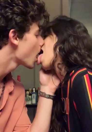 Shawn Mendes & Camila Cabello