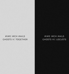 Nine Inch Nails "Ghosts V: Together" & "Ghosts VI: Locusts"