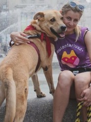 Aleksandra Prykowska