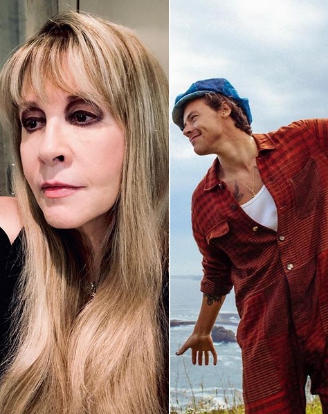 Stevie Nicks / Harry Styles