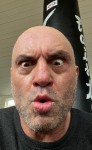 Joe Rogan