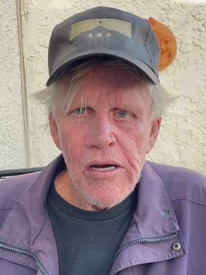 Gary Busey