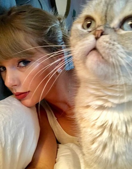Taylor Swift & Olivia Benson