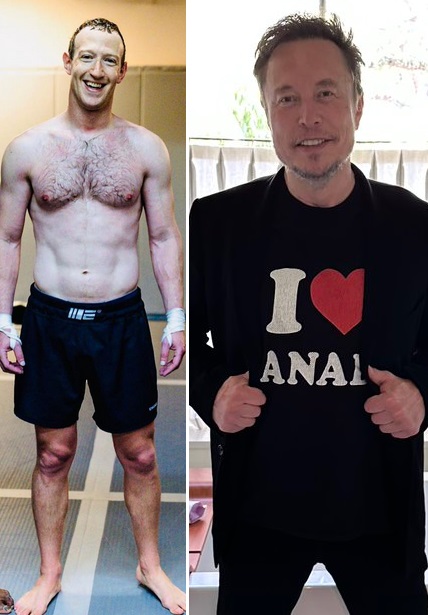 Mark Zuckerberg / Elon Musk