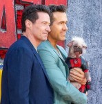 Hugh Jackman & Ryan Reynolds