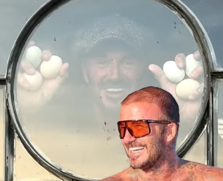 David Beckham